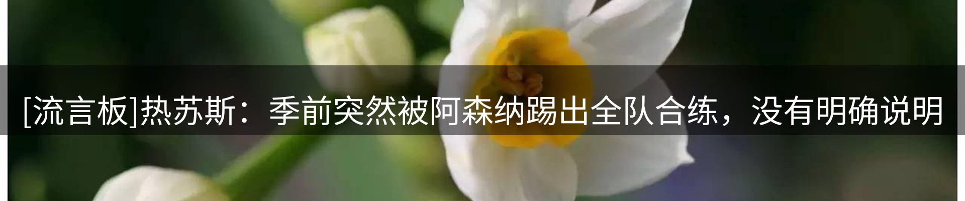 焦点视窗
